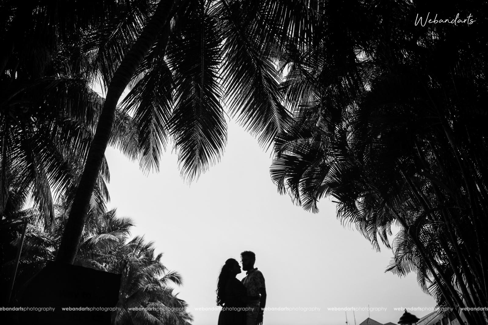 Webandarts Photography