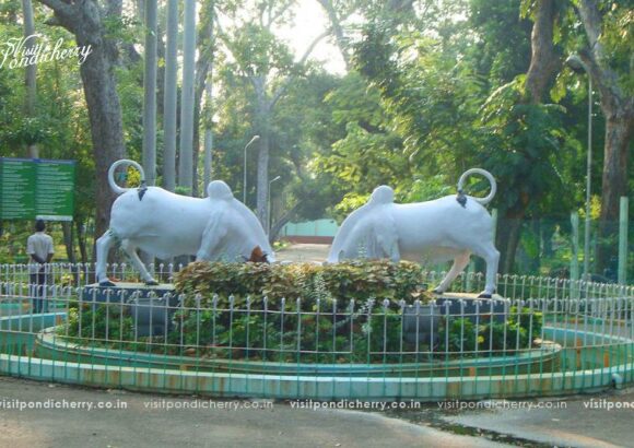 Puducherry Botanical Garden – Beautiful Green Park & Family Attraction Guide
