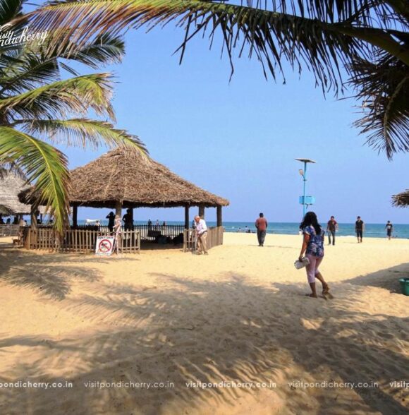 Paradise Beach Pondicherry – Best Scenic Beach, Boat Ride & Travel Guide