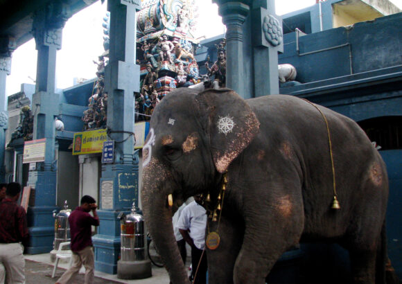 Sri Manakula Vinayagar Temple Pondicherry – Powerful Ganesha Temple & Blessings Guide