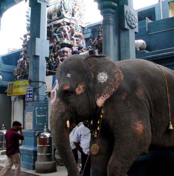 Sri Manakula Vinayagar Temple Pondicherry – Powerful Ganesha Temple & Blessings Guide