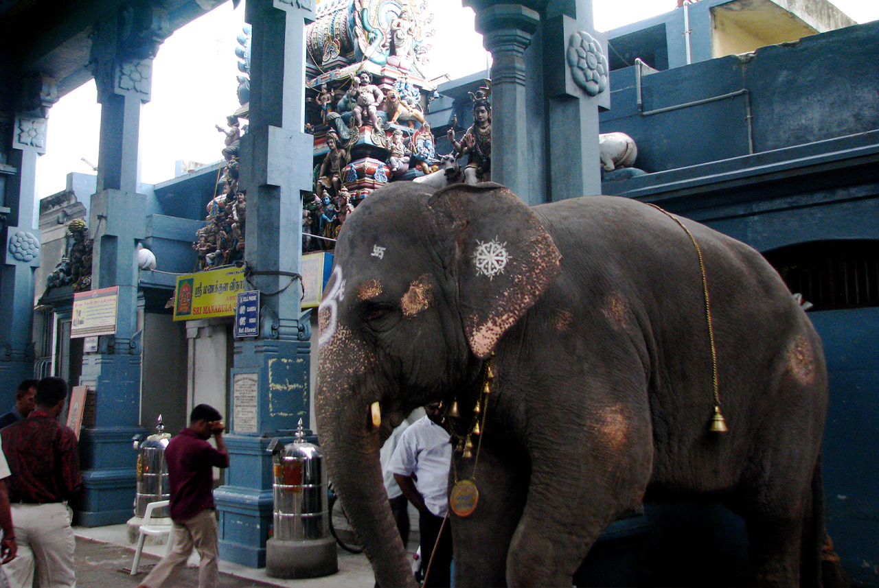 Sri Manakula Vinayagar Temple Pondicherry famous Ganesha temple