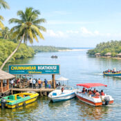 Chunnambar Boathouse Pondicherry backwater boating view